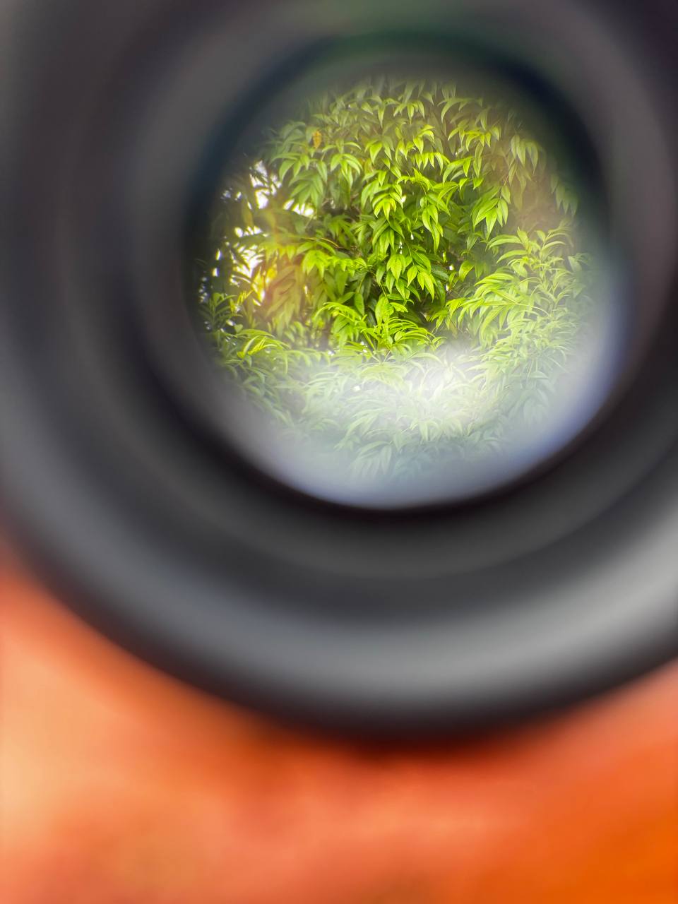 BINOCULAR BOSHILE 10X42 MULTICAPA NITROGENADO AJUSTE DE MIOPIA