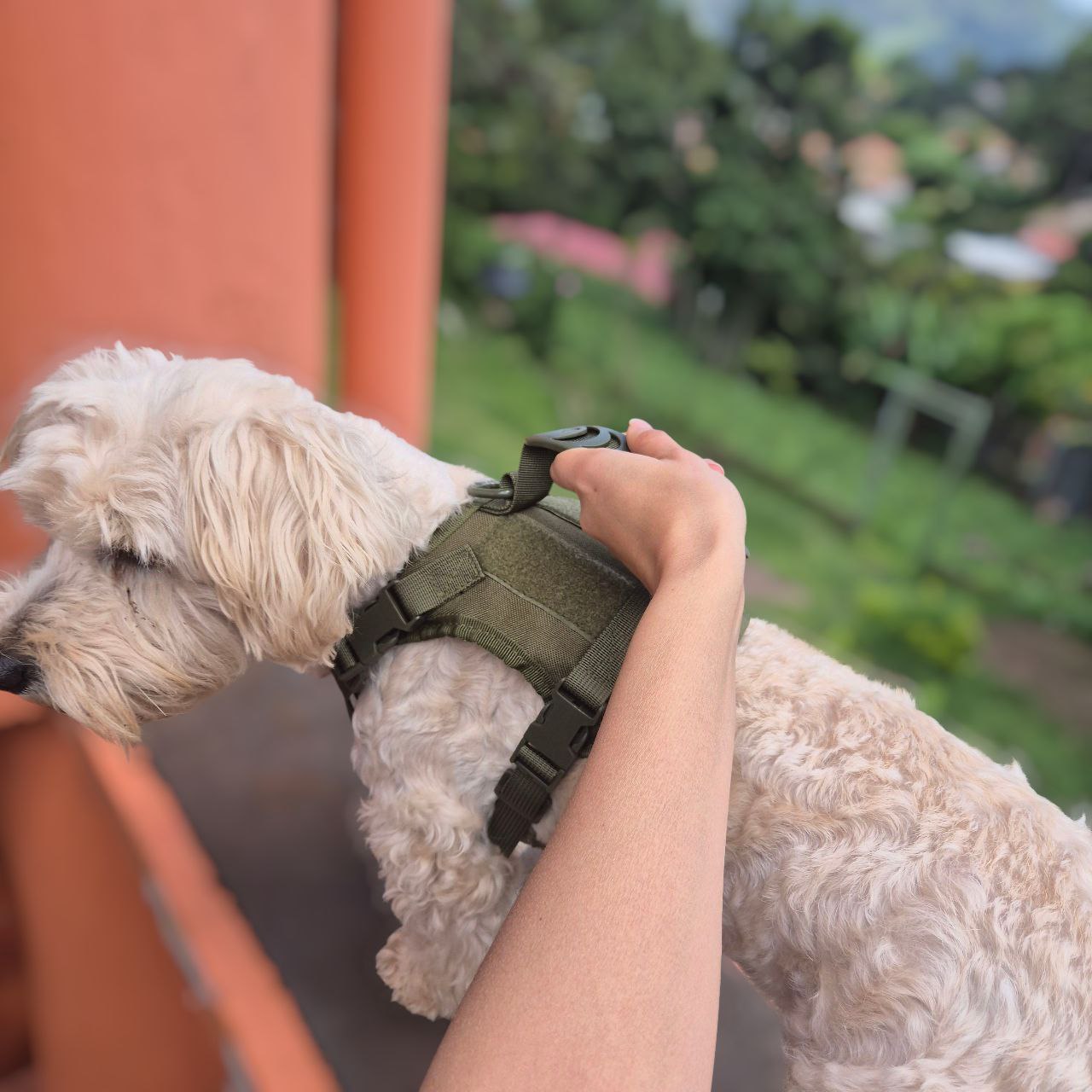 Arnés Táctico para Perros Pequeños – Toy Size y Gatos