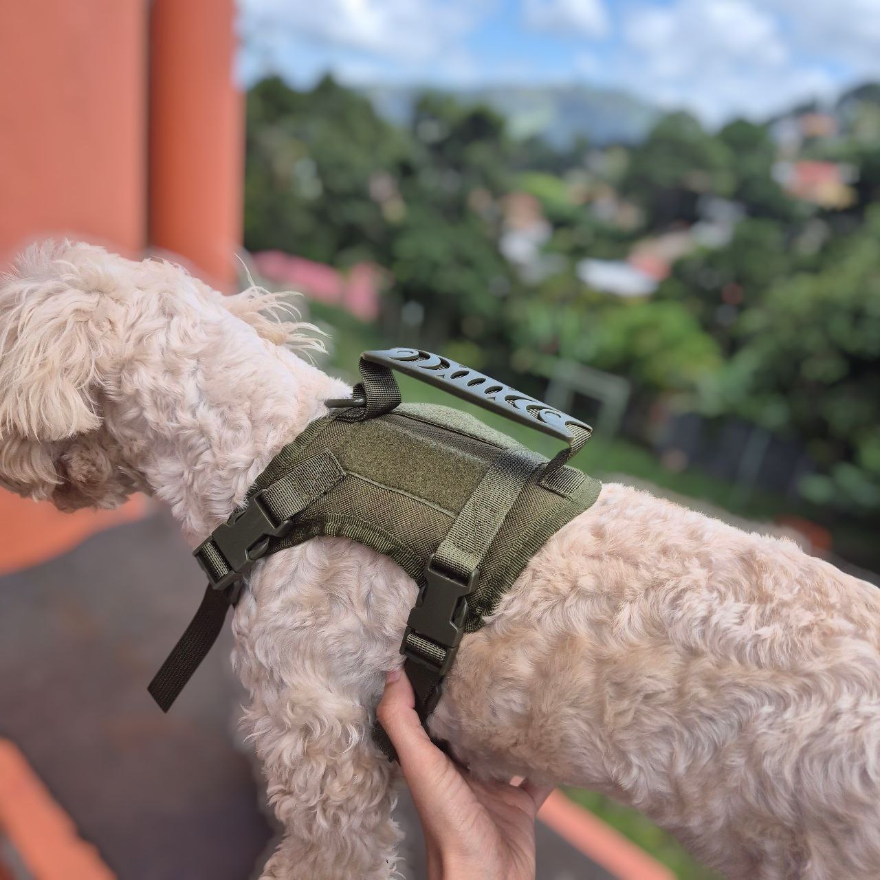 Arnés Táctico para Perros Pequeños – Toy Size y Gatos