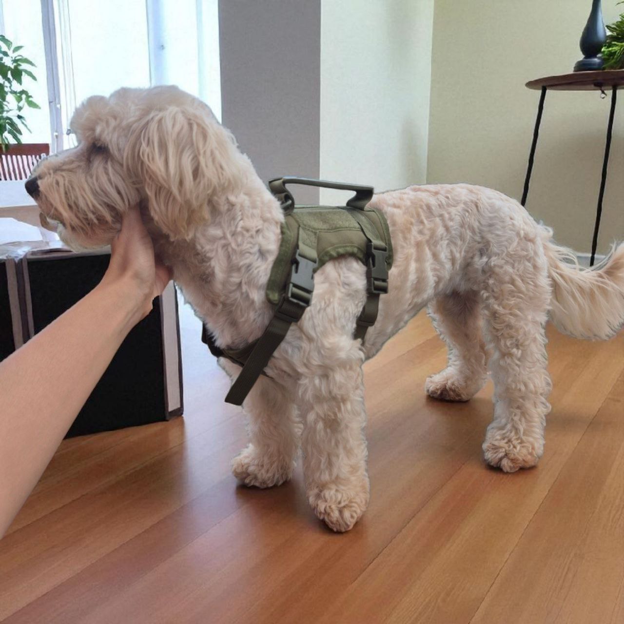 Arnés Táctico para Perros Pequeños – Toy Size y Gatos