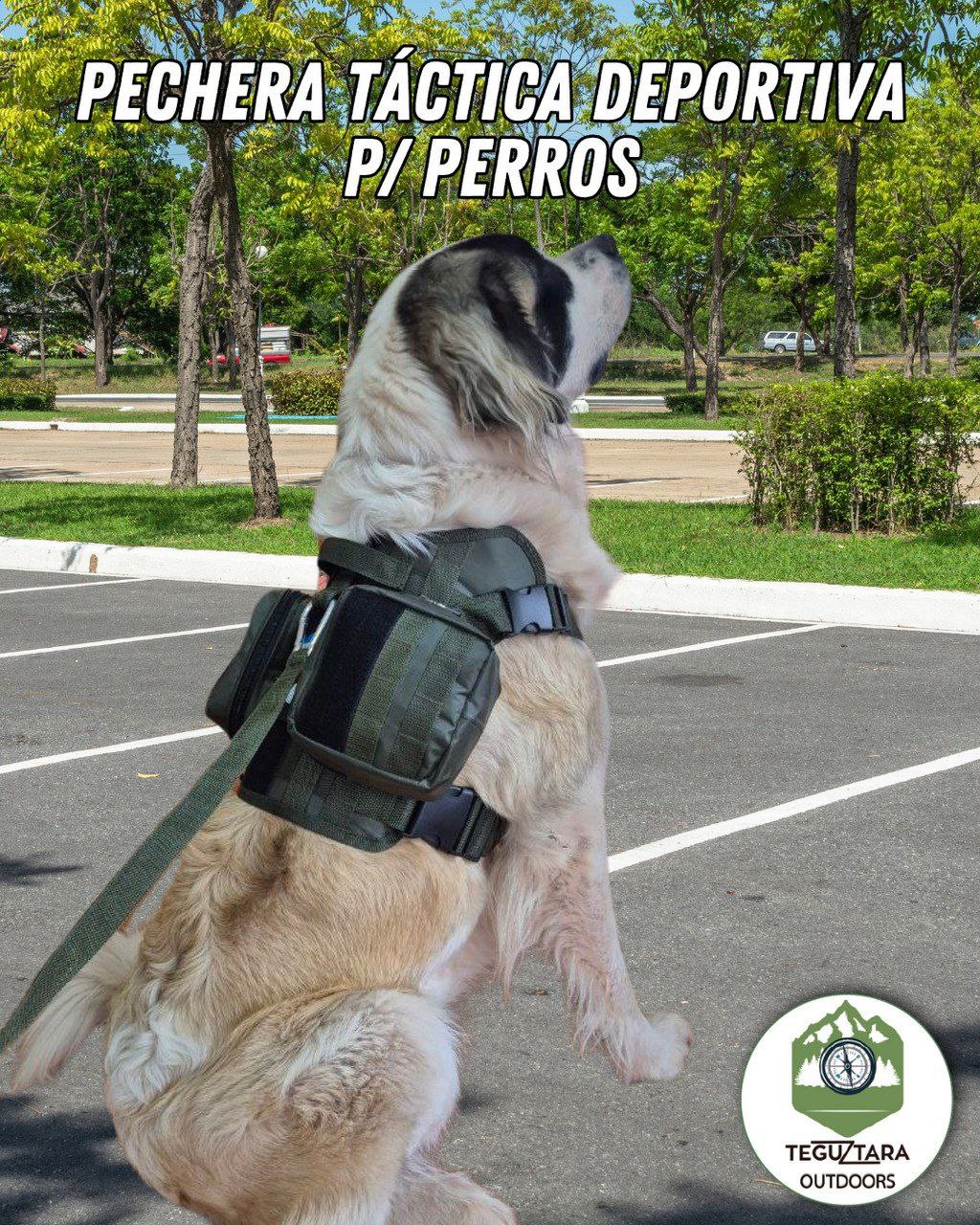 Pechera táctica deportiva para perro c/ Bolsos laterales