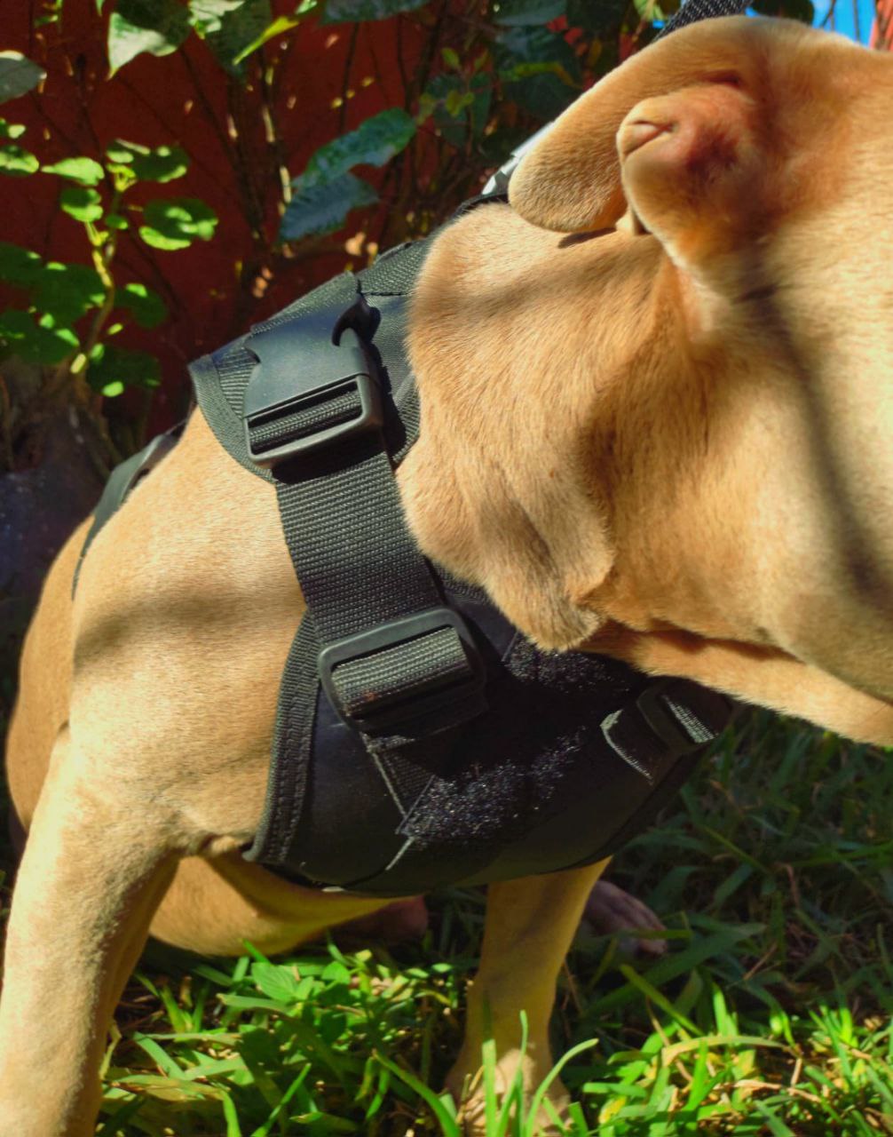 Pechera Táctica P/Perros Incluye Correa