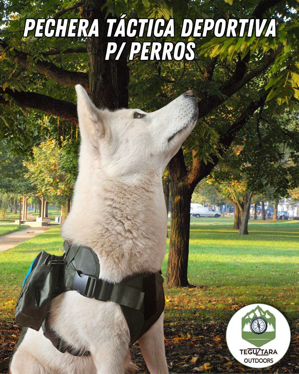 Pechera Táctica P/Perros Con/Bolsos Laterales Mini Mochila Incluye Correa