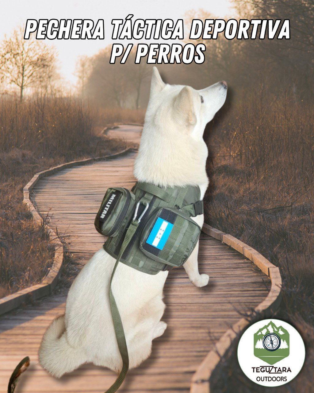 Pechera Táctica P/Perros Con/Bolsos Laterales Mini Mochila Incluye Correa