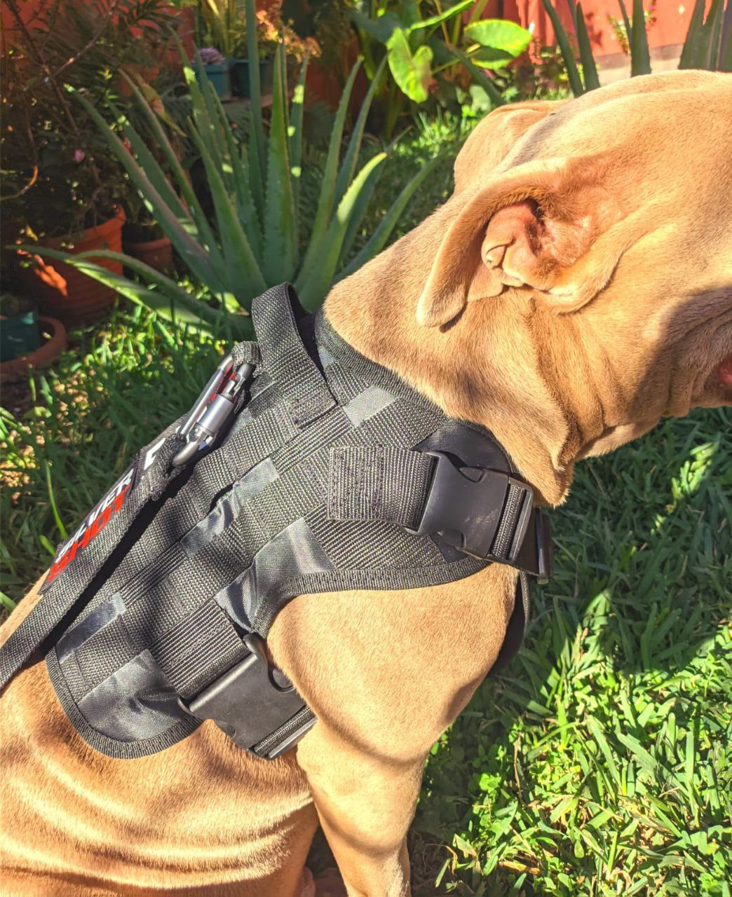 Pechera Táctica P/Perros Incluye Correa