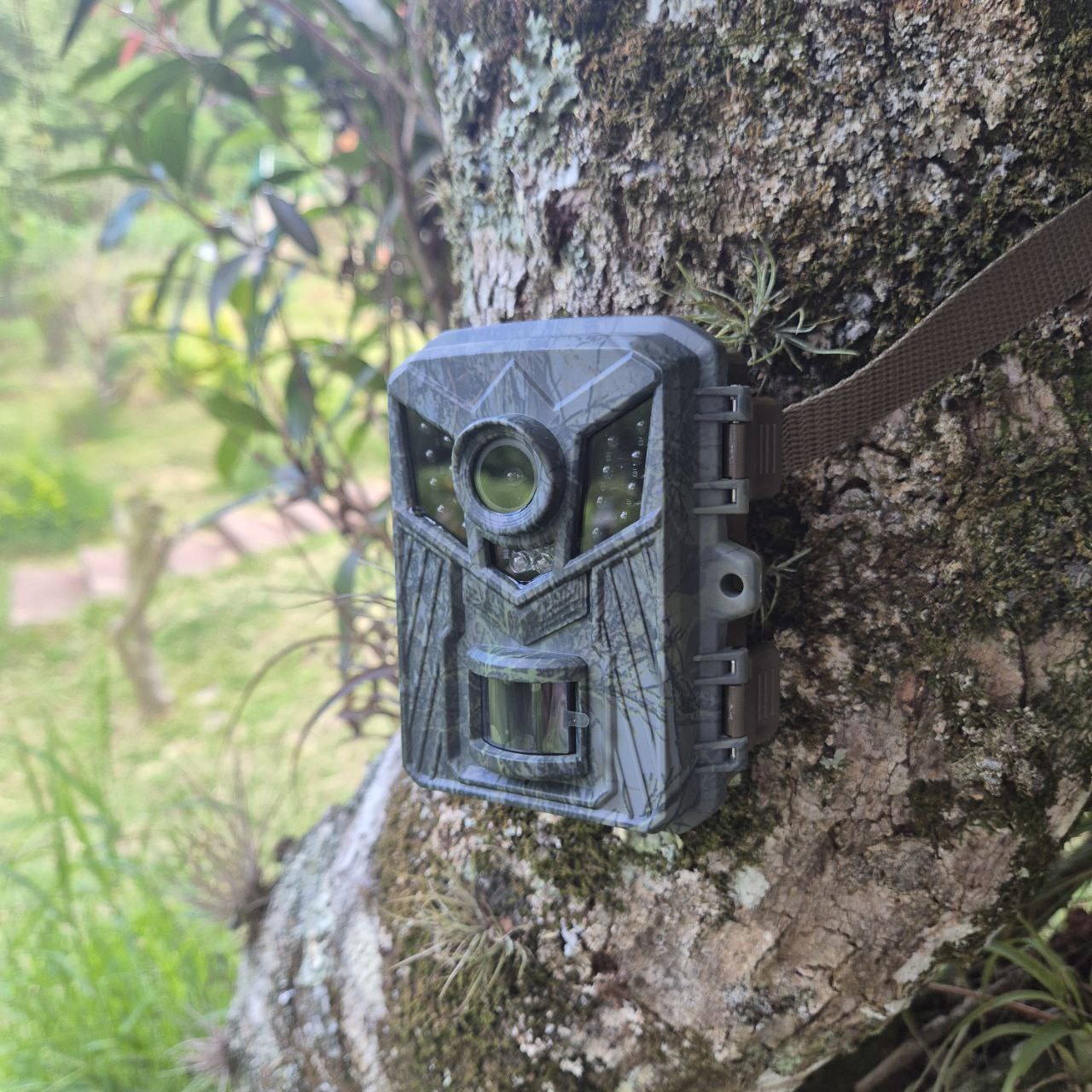 CAMARA TRAIL DE MONITOREO SEGUIMIENTO SILVESTRE OUTDOORS CACERIA VISION NOCTURNA 32 GB MEMORIA HD