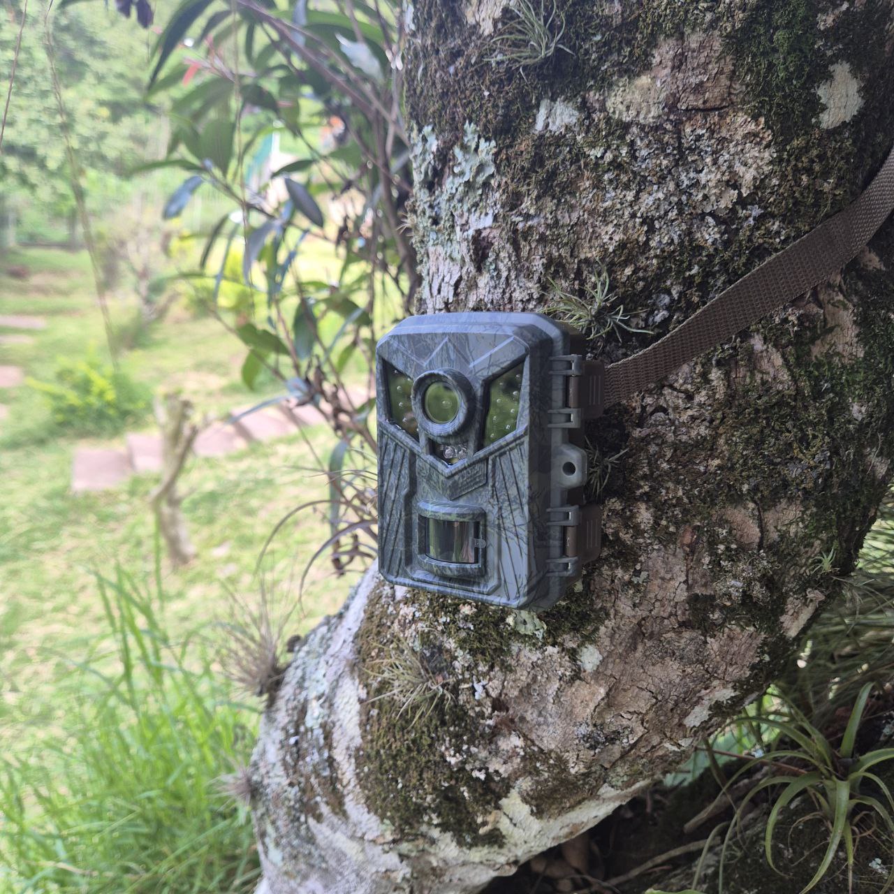 CAMARA TRAIL DE MONITOREO SEGUIMIENTO SILVESTRE OUTDOORS CACERIA VISION NOCTURNA 32 GB MEMORIA HD