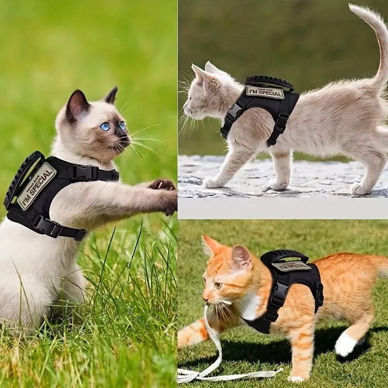 Arnés Táctico para Perros Pequeños – Toy Size y Gatos