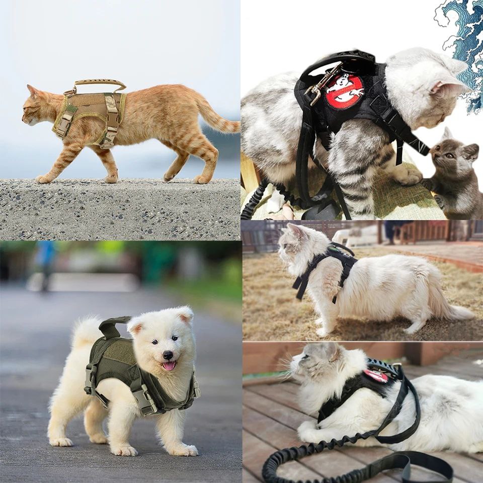 Arnés Táctico para Perros Pequeños – Toy Size y Gatos