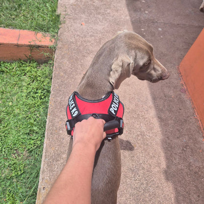 Arnés Pechero Police K9