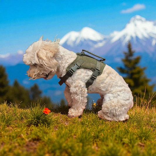 Arnés Táctico para Perros Pequeños  – Toy Size y Gatos