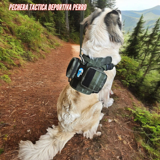Pechera Táctica P/Perros Con/Bolsos Laterales Mini Mochila Incluye Correa