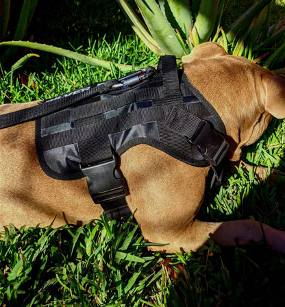 Pechera Táctica P/Perros Incluye Correa