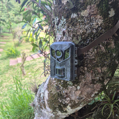 CAMARA TRAIL DE MONITOREO SEGUIMIENTO SILVESTRE OUTDOORS CACERIA VISION NOCTURNA 32 GB MEMORIA HD
