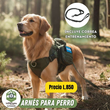 Pechera Táctica P/Perros Con/Bolsos Laterales Mini Mochila Incluye Correa