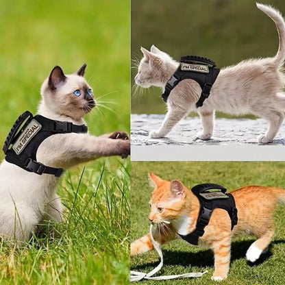 Arnés Táctico para Perros Pequeños  – Toy Size y Gatos
